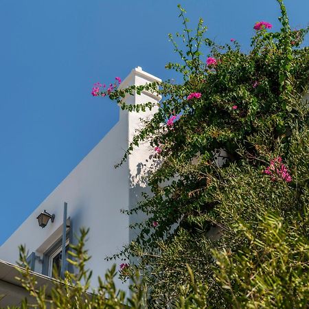Baybees Sea View Residence Platys Gialos (Mykonos) Exterior foto