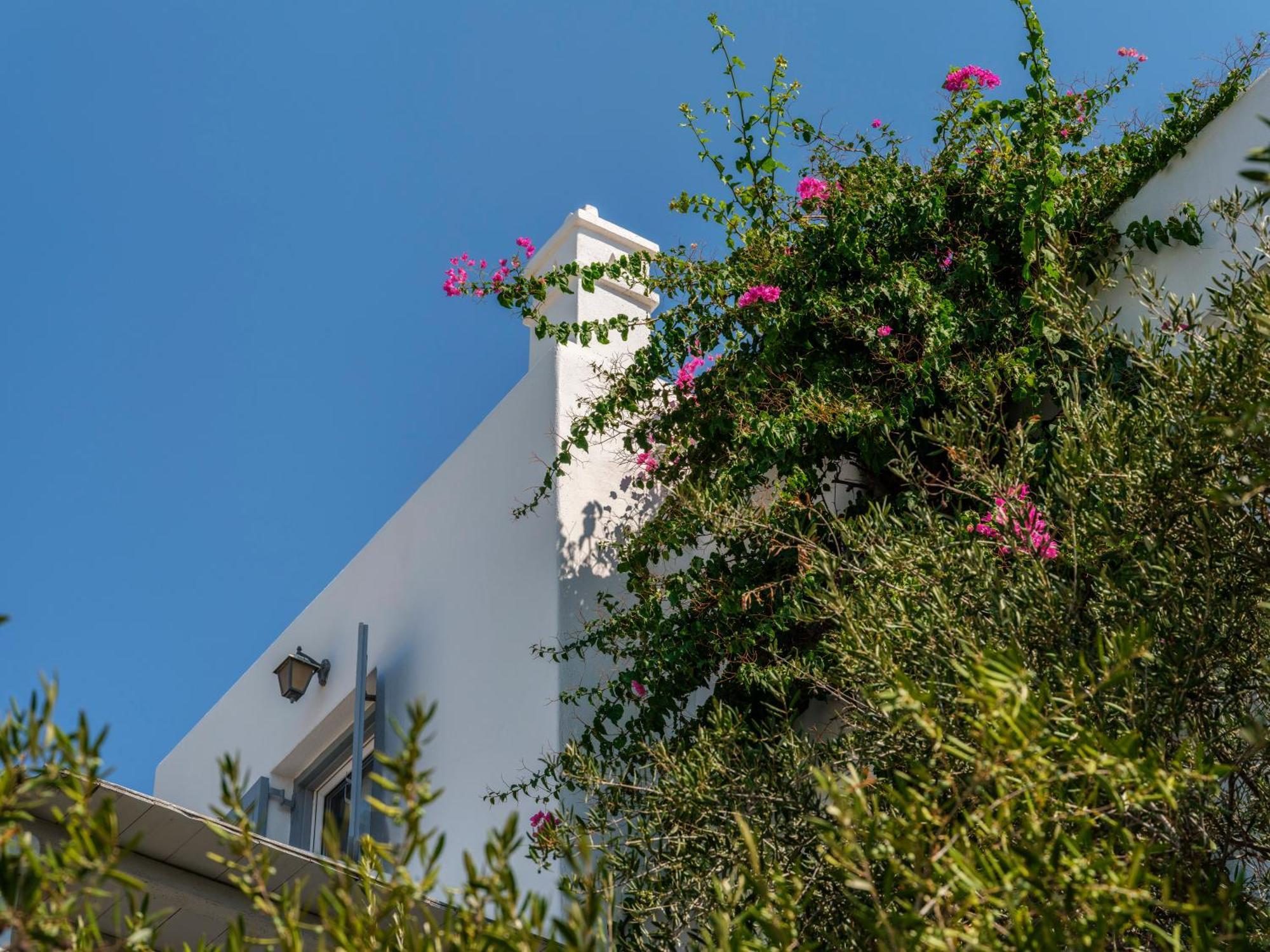 Baybees Sea View Residence Platys Gialos (Mykonos) Exterior foto