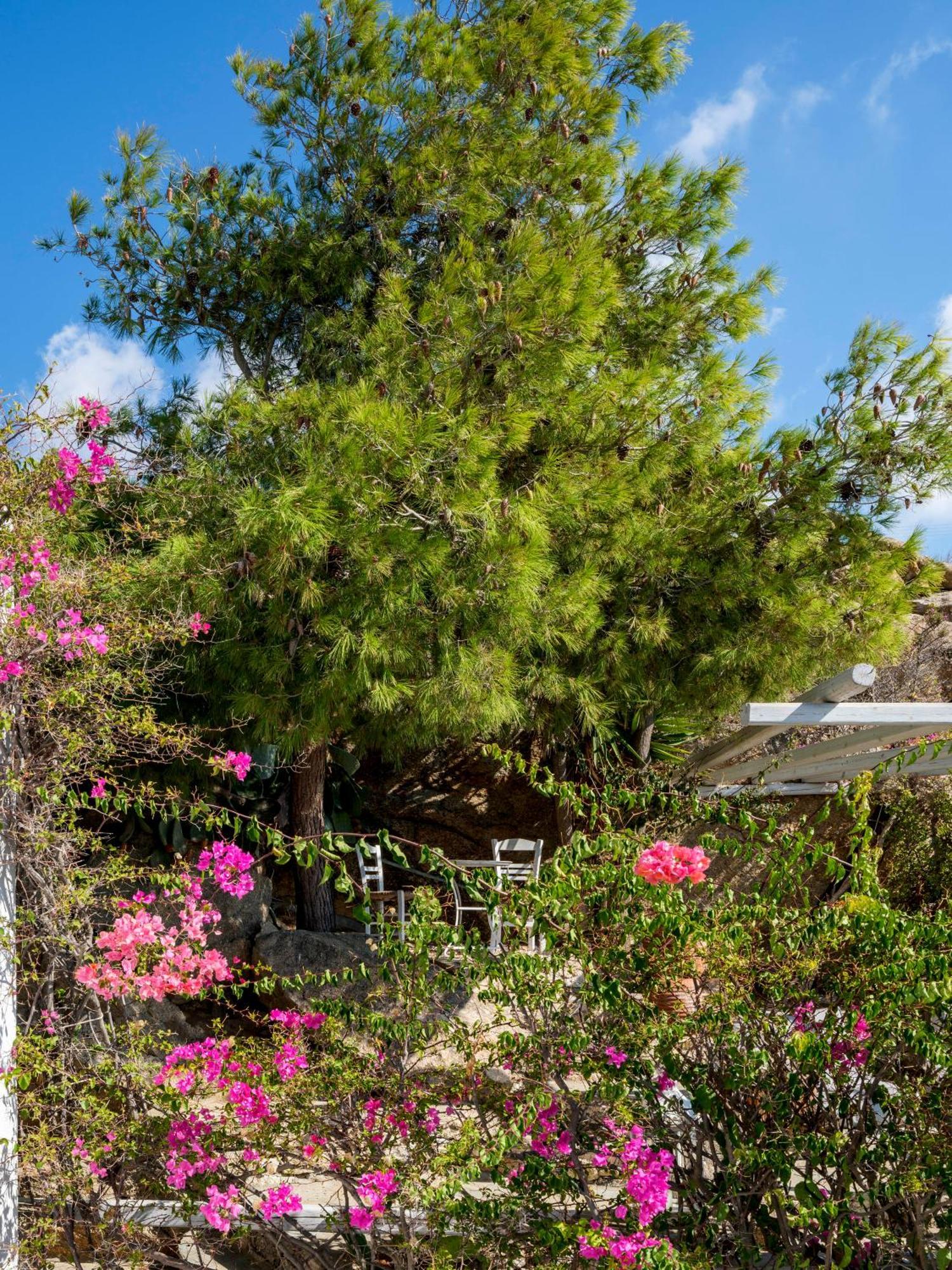 Baybees Sea View Residence Platys Gialos (Mykonos) Exterior foto